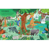 Planet Earth First Sticker Book