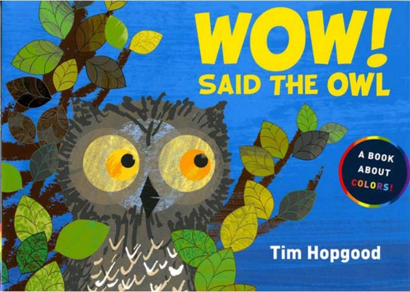 książka WOW Said the owl